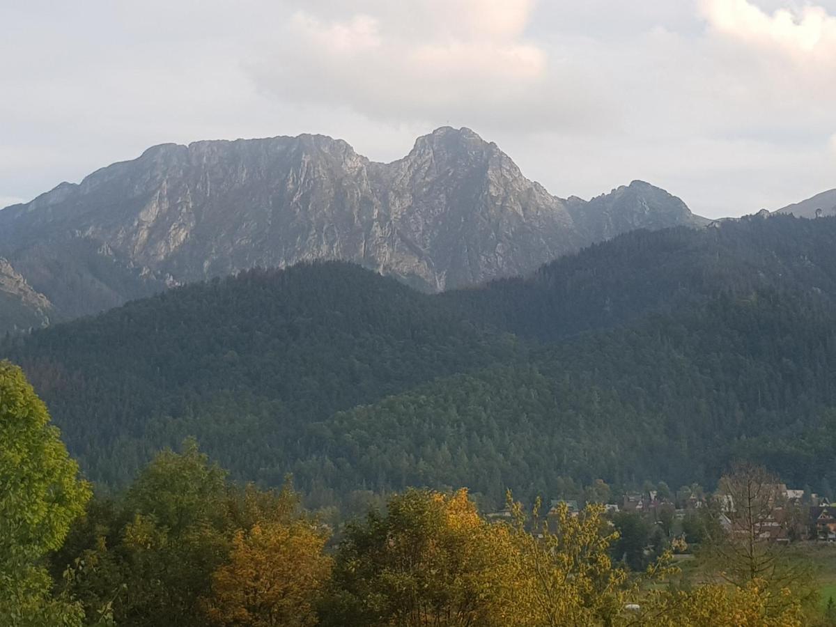 Apartament Sobiczkowa Zakopane Koscielisko Ngoại thất bức ảnh